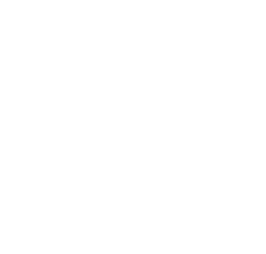 VYRAL Studio